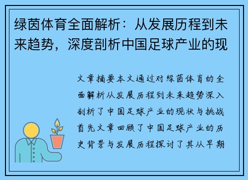 绿茵体育全面解析：从发展历程到未来趋势，深度剖析中国足球产业的现状与挑战